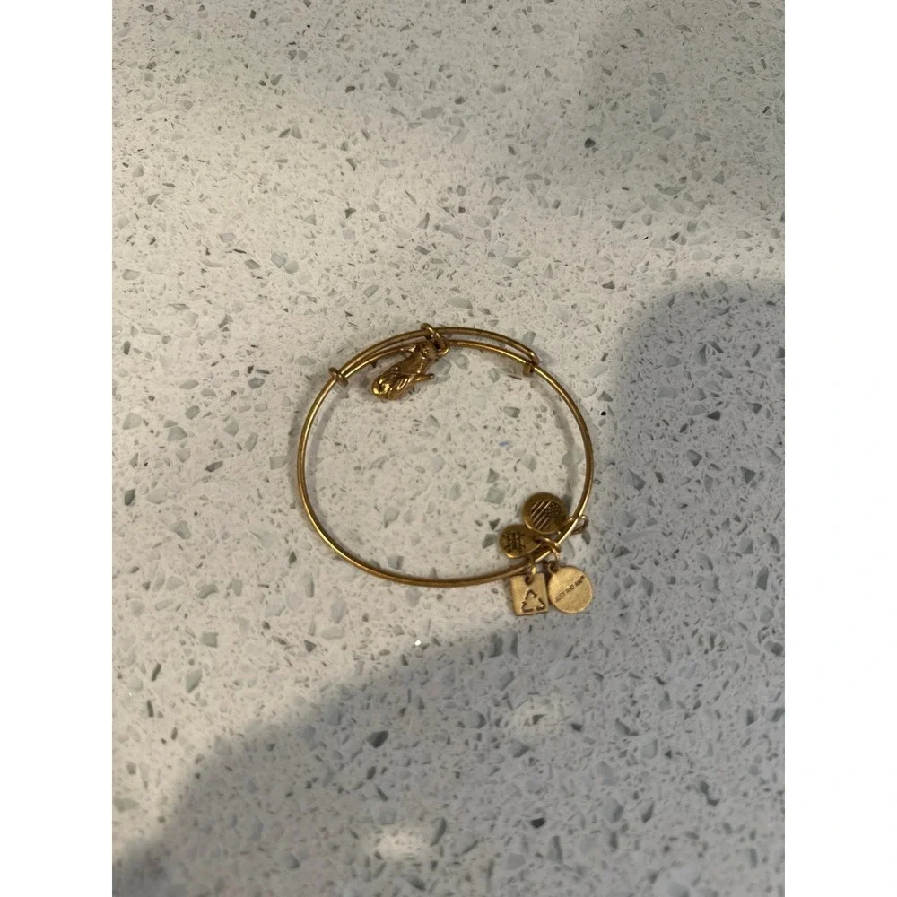 ALEX AND ANI bracelet bundle includes 9 bracelets ‎ (g1)